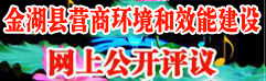 金湖县营商环境和效能建设网上公开评议
