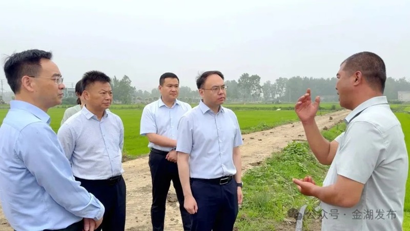 徐加晔调研夏种工作、生态农业并召开推进会